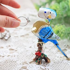 Amazon.co.jp: [ピィアース] PIEARTH ジュエリーボックス